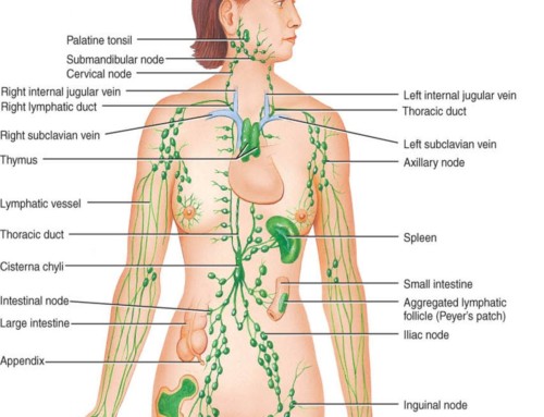 TENSIONE MAMMARIA E SENSAZIONE DI SPILLI O PESANTEZZA